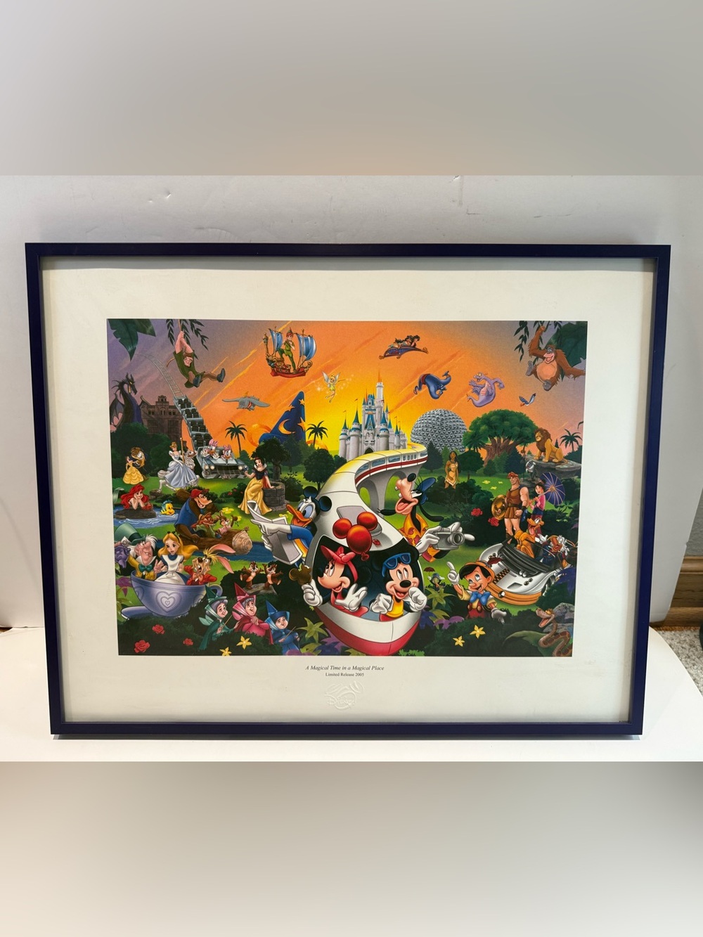 Limited Release 2005 Disney "A Magical Time in a Magical Place" Purple Frame